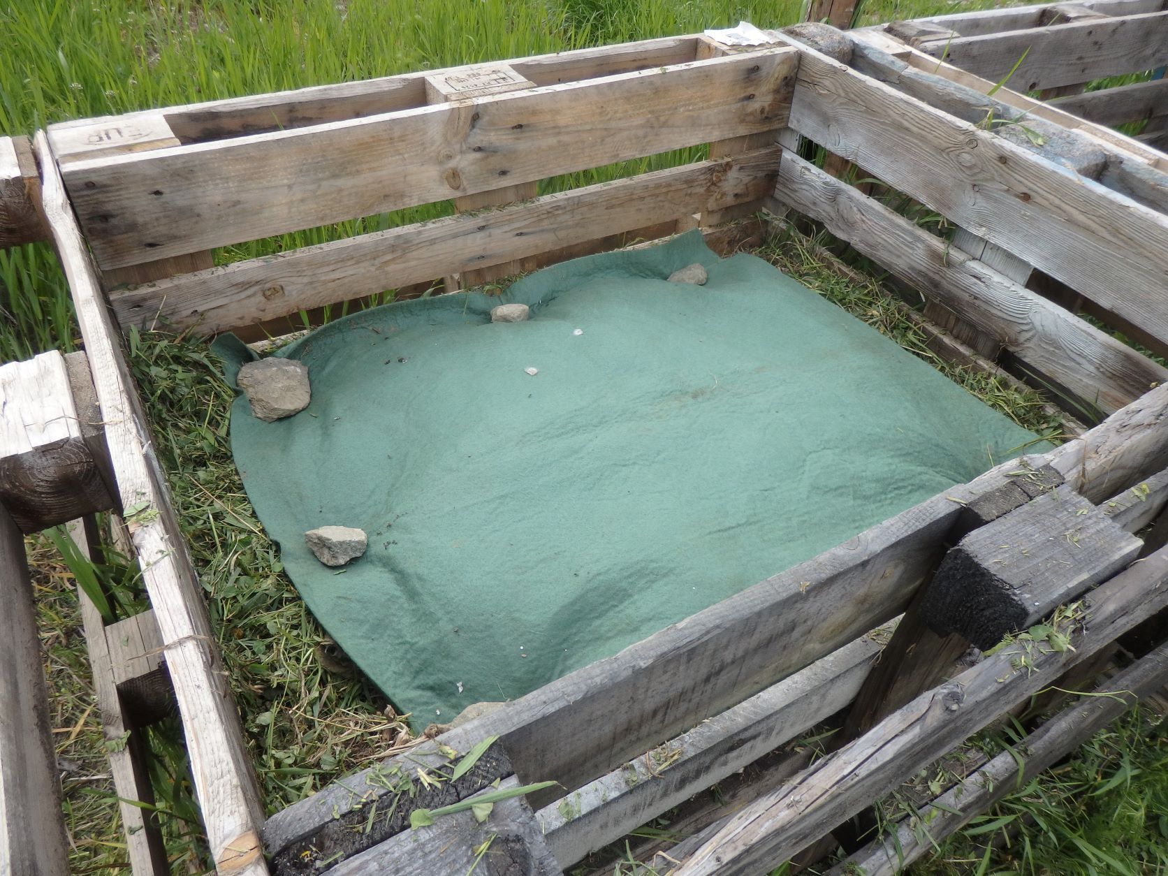 Von Kompostierung übers Hummel 1X1 bis zur Mischkultur im Gemeinschaftsgarten