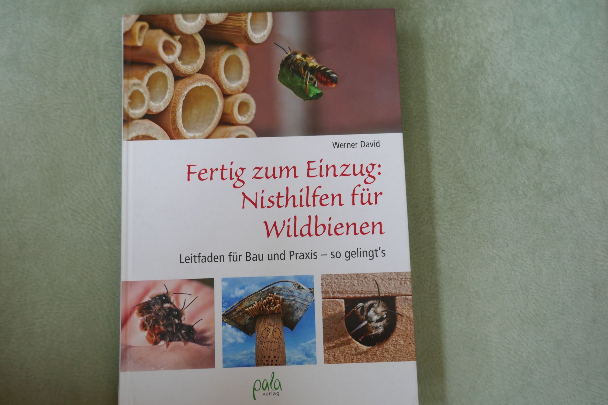 Insektenvielfalt im Naturgarten in Steinach & Biohof Waldförster im Ridnauntal - zwei Exkursionen