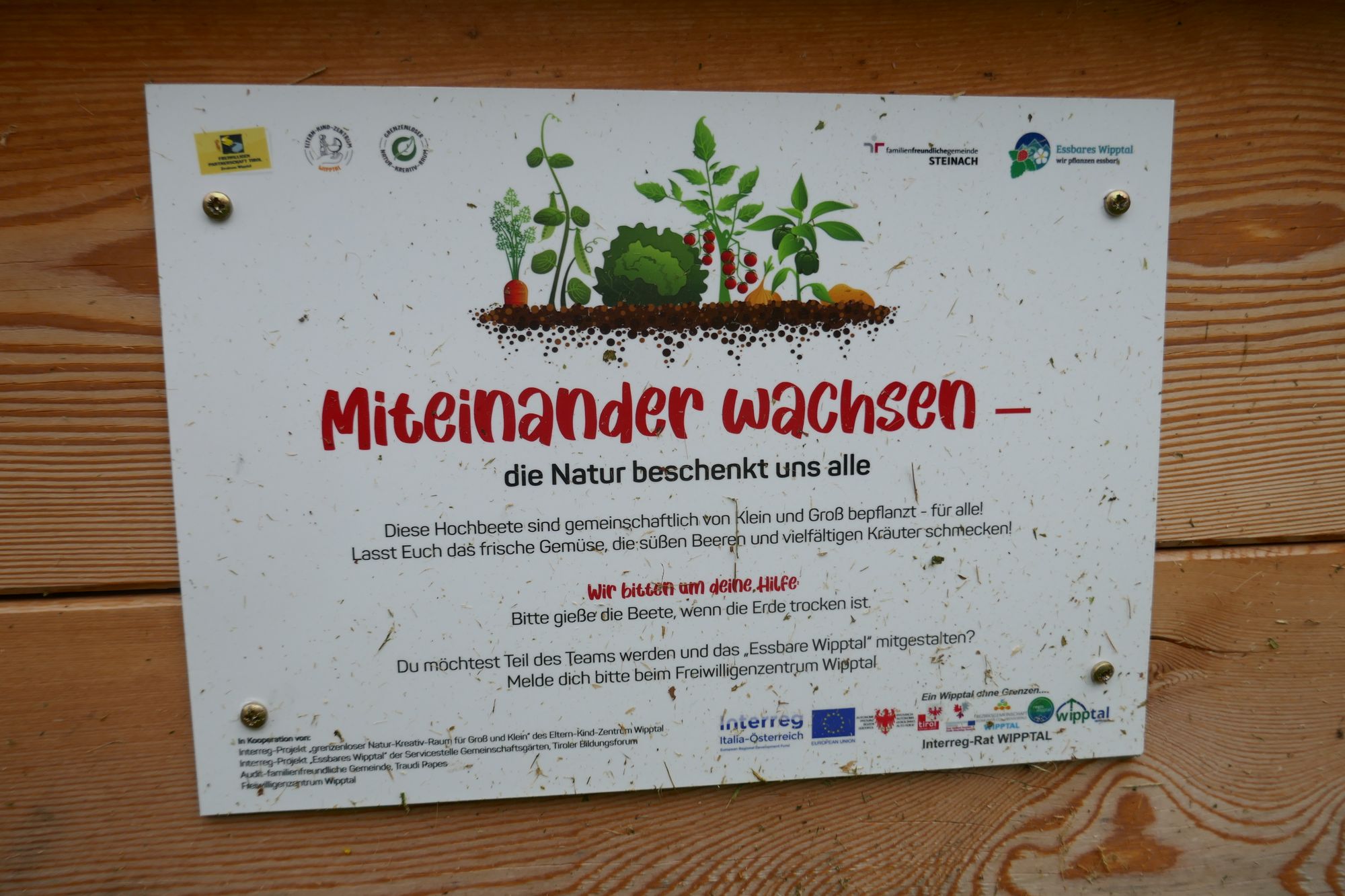 Insektenvielfalt im Naturgarten in Steinach & Biohof Waldförster im Ridnauntal - zwei Exkursionen