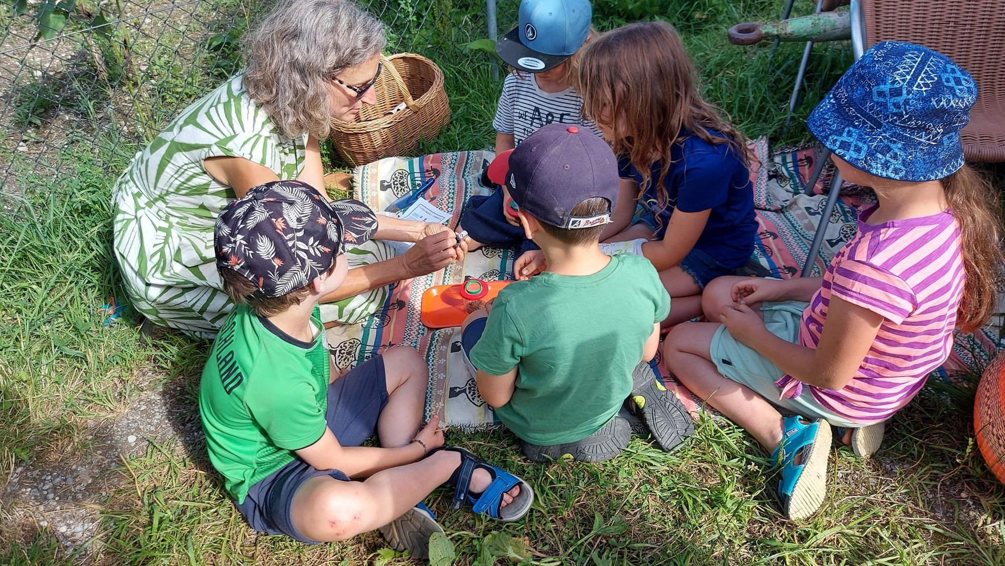 Wissen sammeln und teilen - Grüne Lernorte Gemeinschaftsgärten
