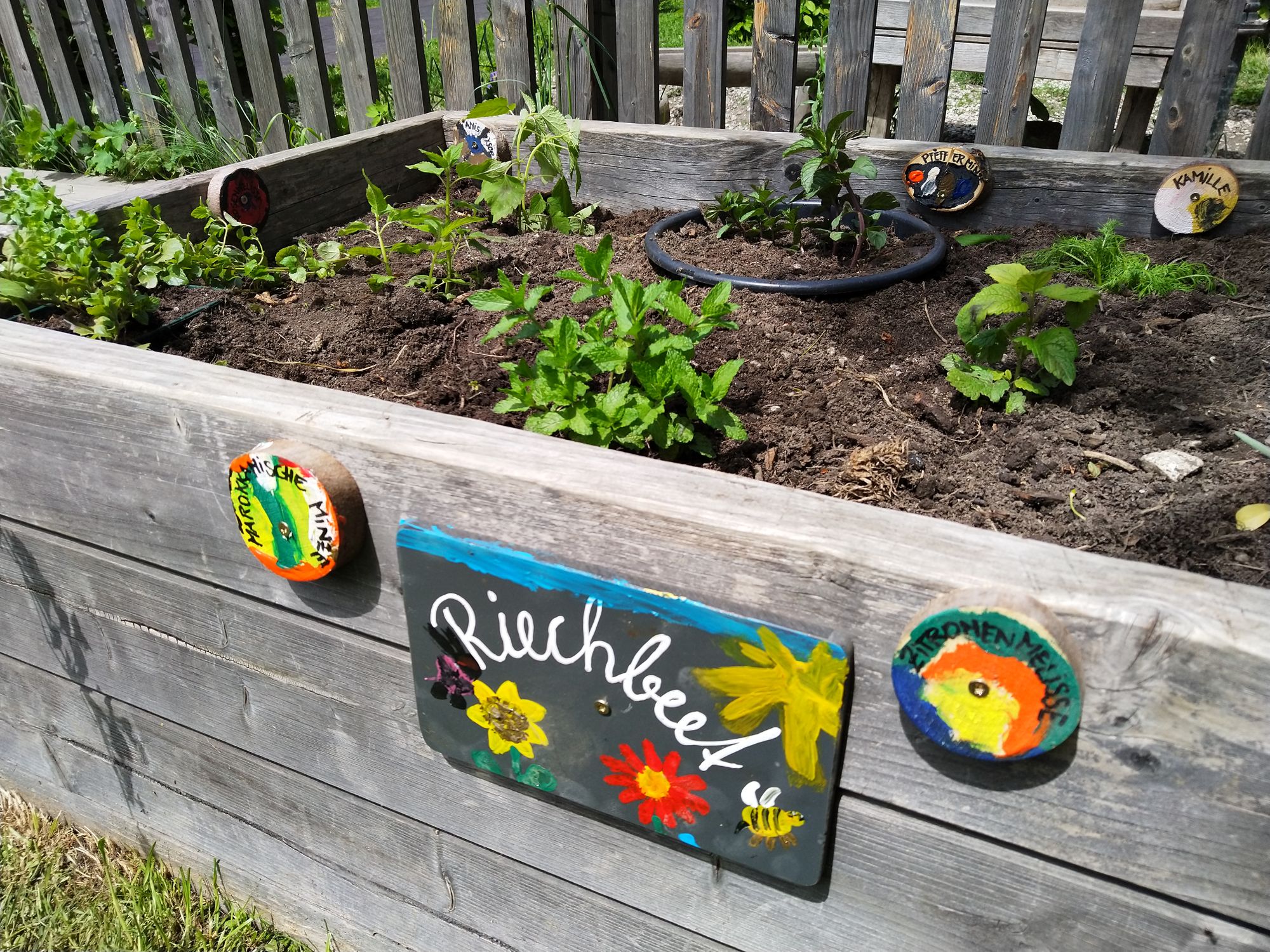 Gartenpädagogik - der Garten als Lernort