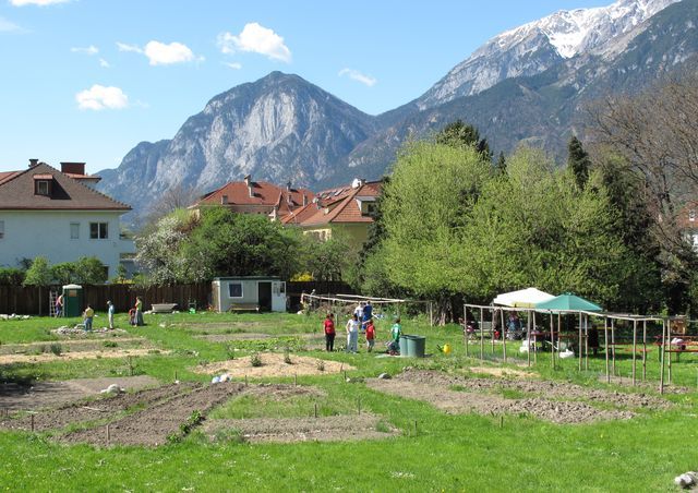 Von "Urban Gardening" bis "Gardensharing" - Formen von Gemeinschaftsgärten