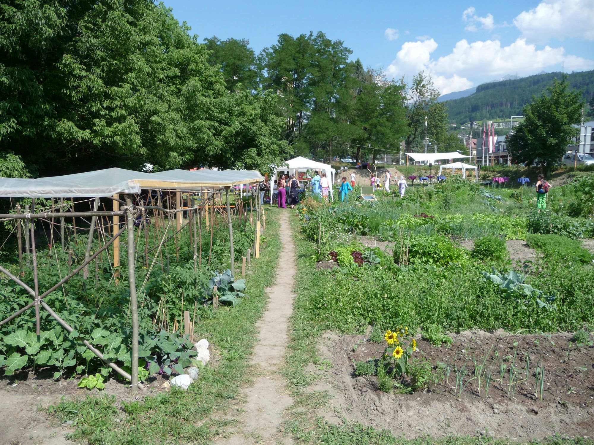 Leitfaden: Gemeinschaftsgärten gründen