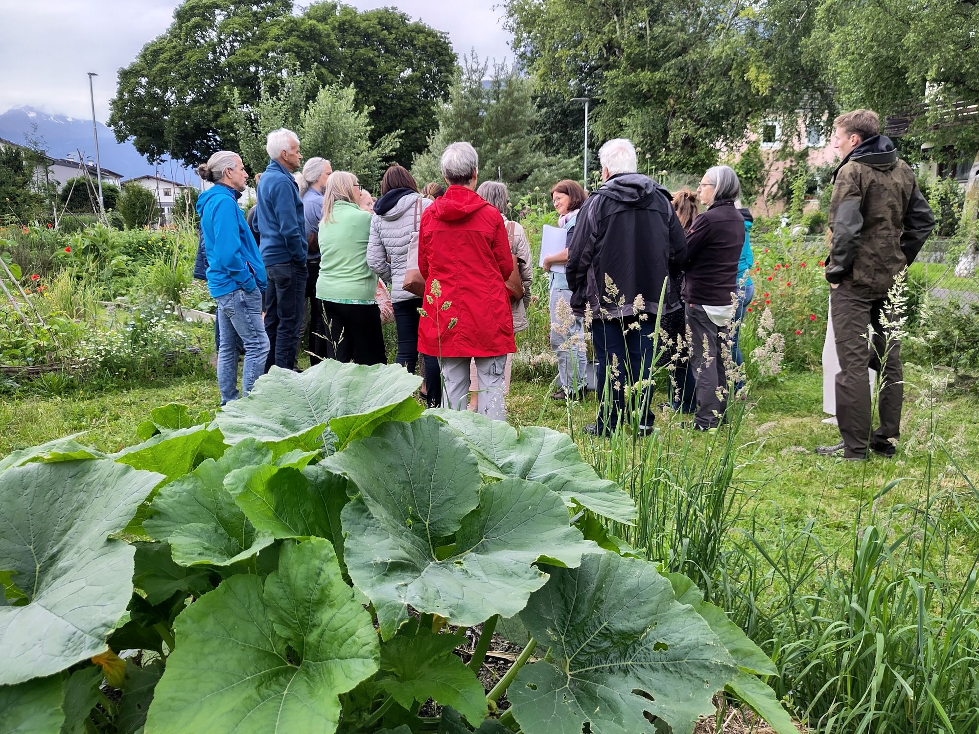 1. Tiroler Gemeinschaftsgartentag