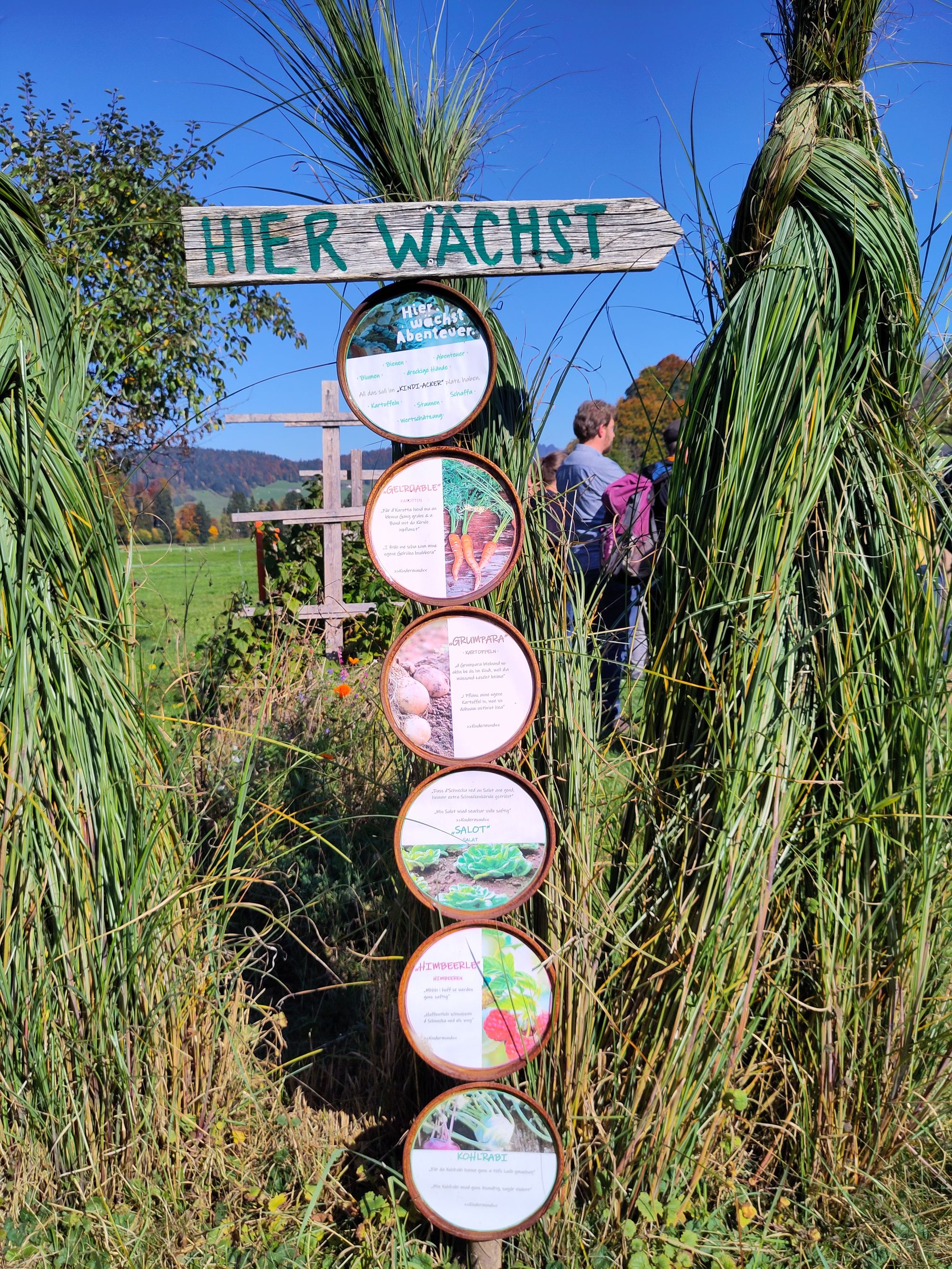 Lehrgang Gartenpädagogik